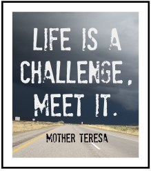 life-is-a-challenge-meet-it